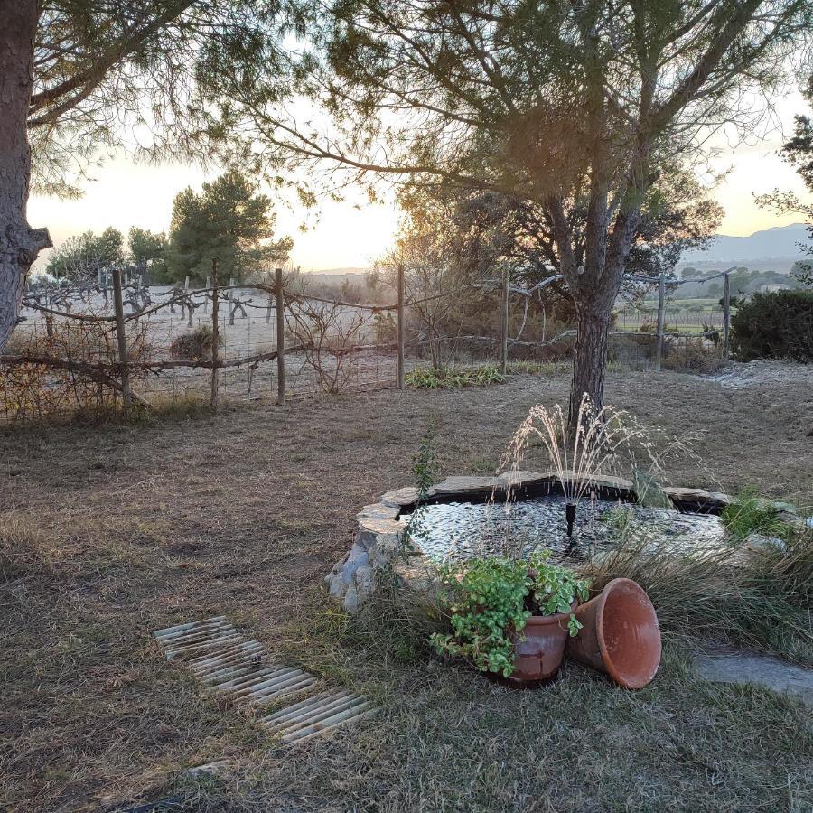 Romegosa Benestar Villa Sant Marcal Exteriör bild